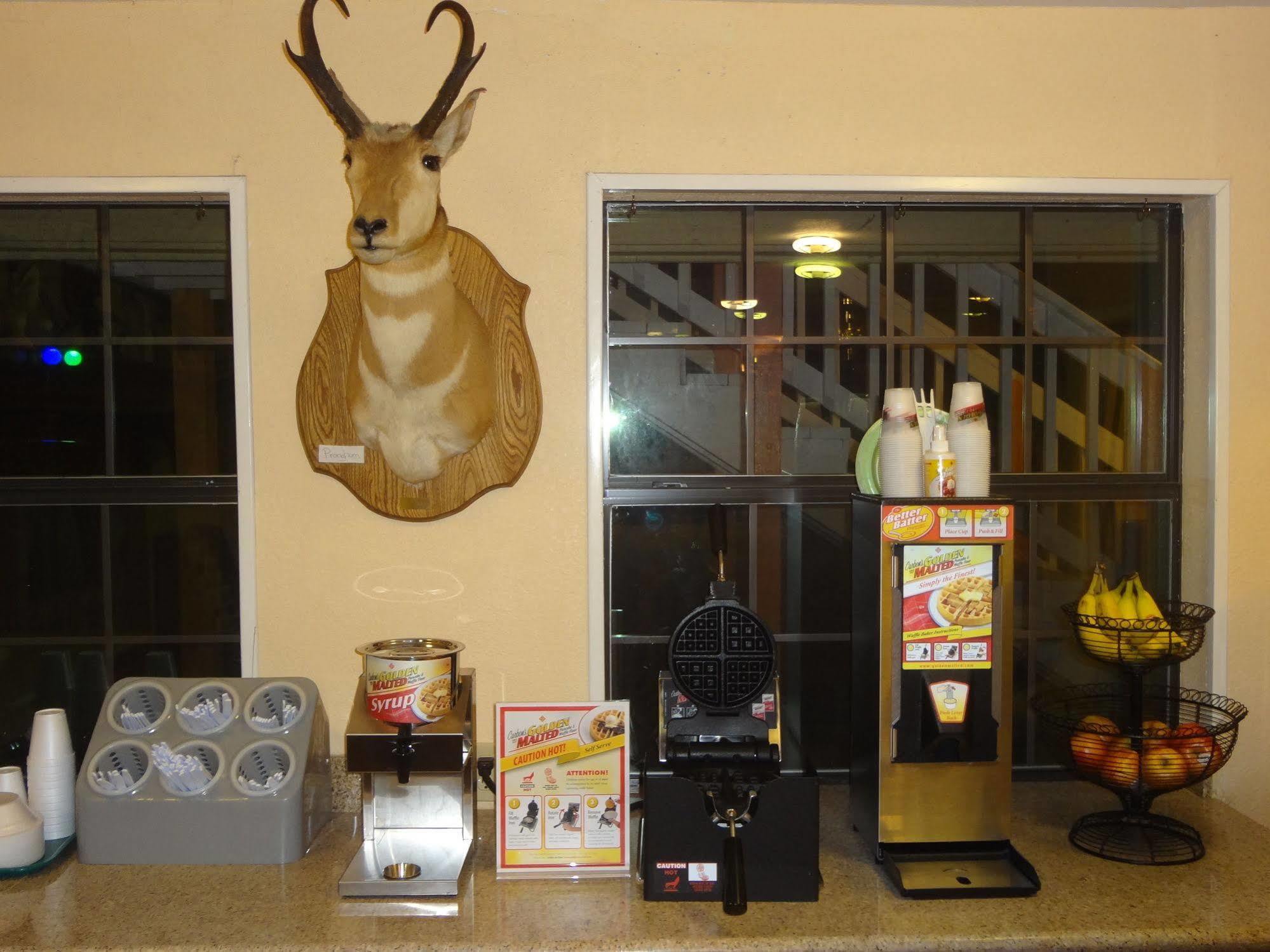 Antlers Inn Goliad 外观 照片
